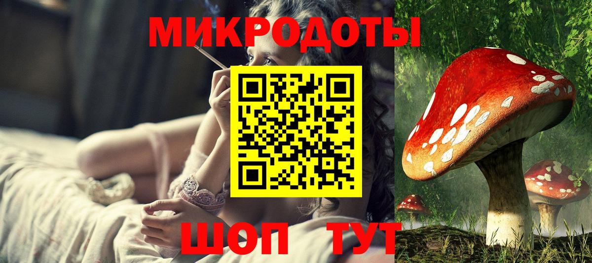 Галлюциногенные грибы мухоморы Кандалакша