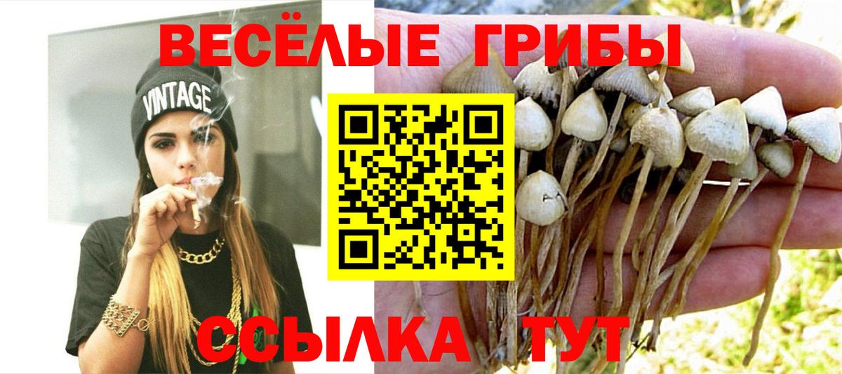 Псилоцибиновые грибы Magic Shrooms  Вход с VPN  Галлюциногенные грибы прущие грибы  Кандалакша 